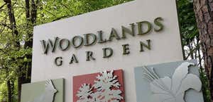 Woodlands Garden of Decatur
