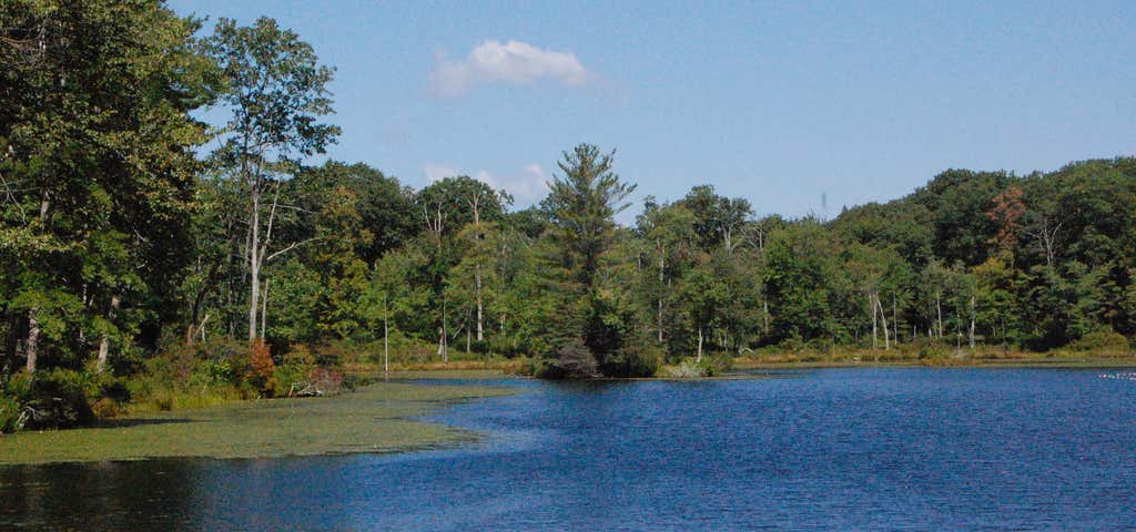 Photo of Gay City State Park