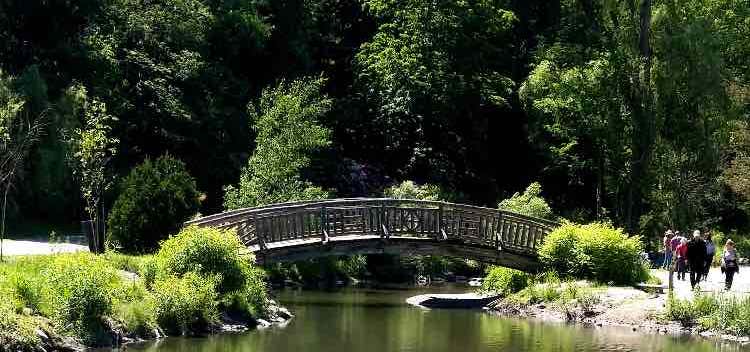 Photo of Toronto Botanical Garden