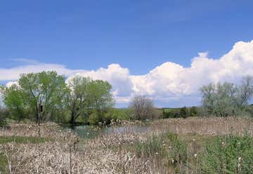 Photo of Leonora Curtin Wetland Preserve