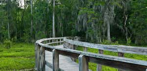 Phinizy Swamp Nature Park