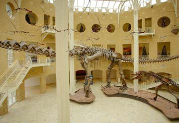 Photo of Fernbank Museum of Natural History