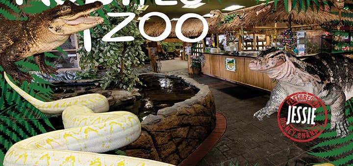 Photo of The Reptile Zoo