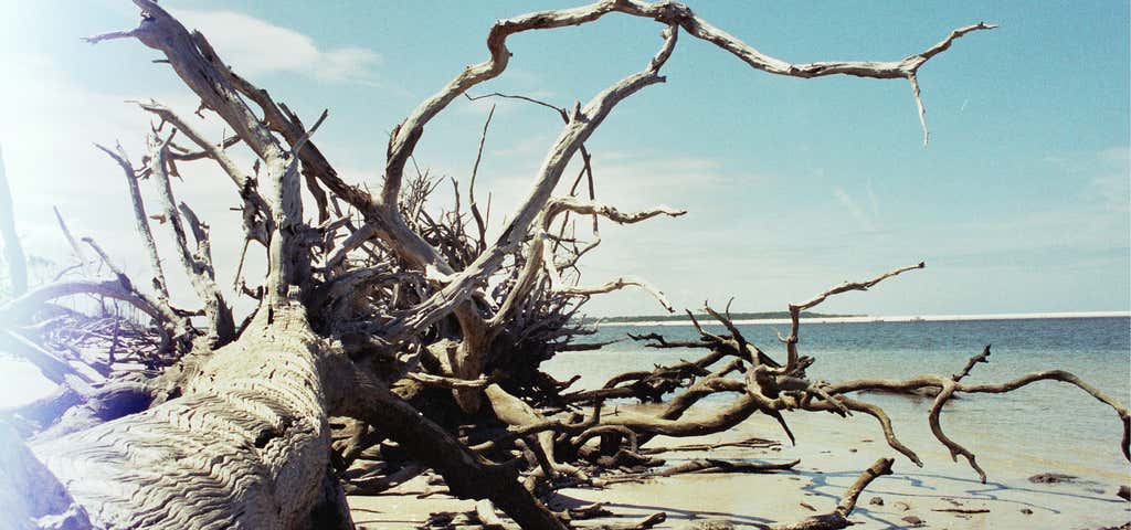 Photo of Boneyard Beach