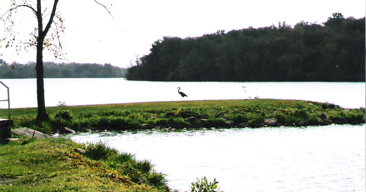 Rock Creek County Marina and Campground, Camanche Roadtrippers