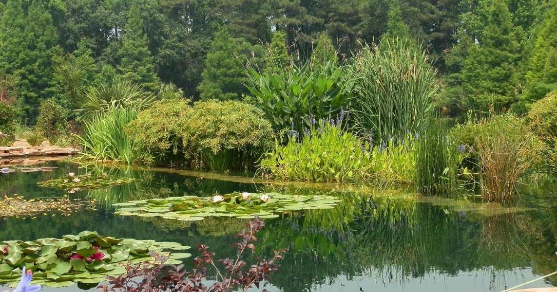 Coastal Georgia Botanical Gardens, Savannah | Roadtrippers
