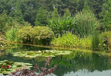 Photo of Coastal Georgia Botanical Gardens