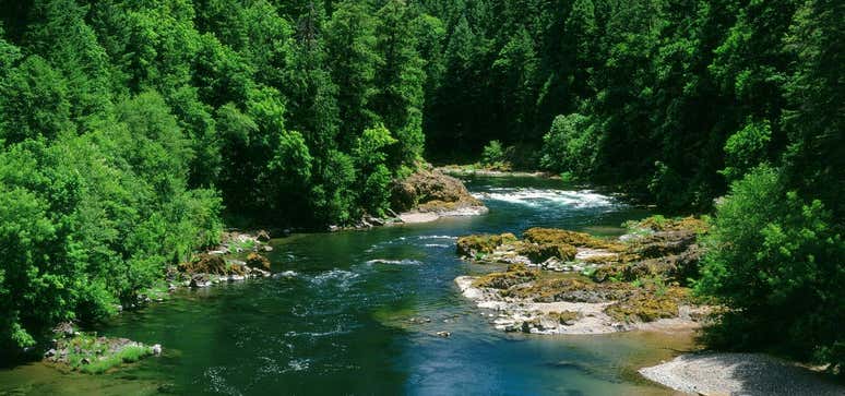 Photo of Philippe Boulot's Favorite Rivers: McKenzie River