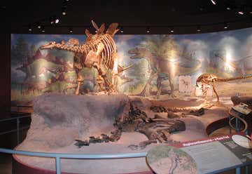 Photo of Utah Field House of Natural History State Park Museum