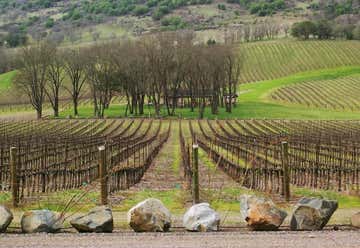 Photo of Devitt Winery & Vineyards