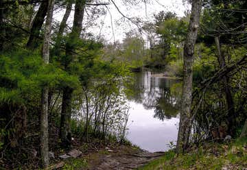 Photo of Hockomock Swamp Canoe Company