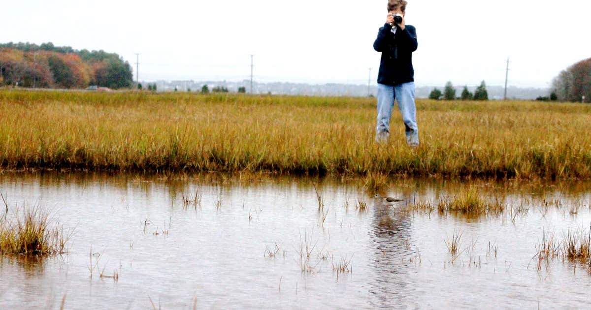 Pelican Point Campground, Jamestown Roadtrippers