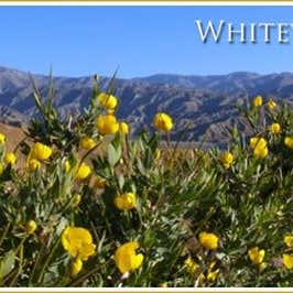 Whitewater Wilderness Preserve