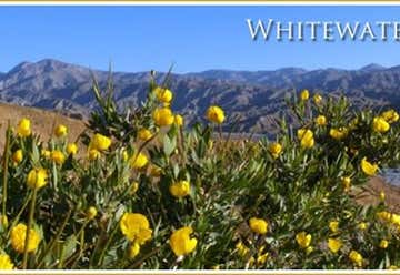 Photo of Whitewater Wilderness Preserve