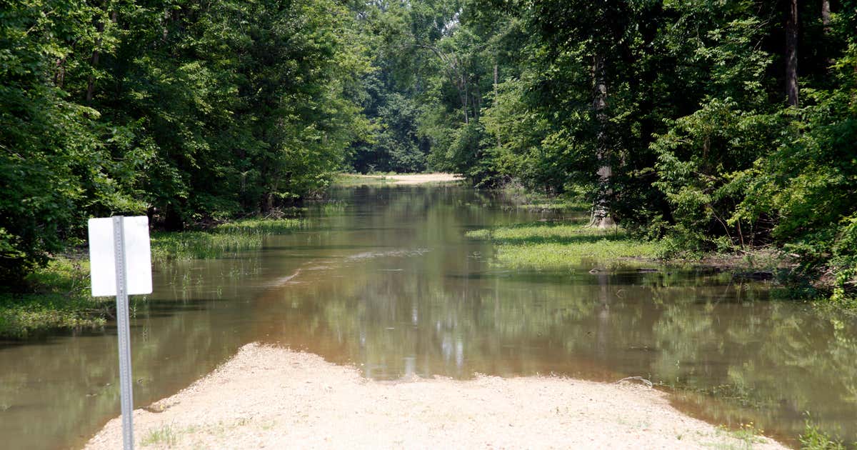 Dagmar State Wildlife Management Area, Brinkley Roadtrippers