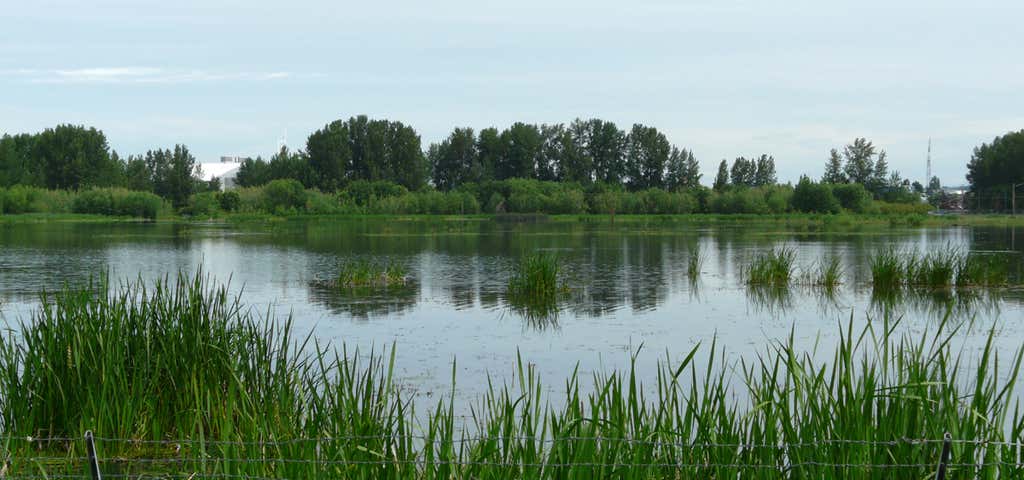 Photo of Vanport Wetlands