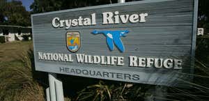 Crystal River National Wildlife Refuge
