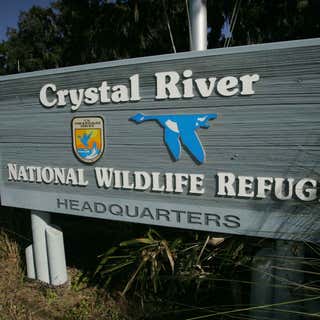 Crystal River National Wildlife Refuge