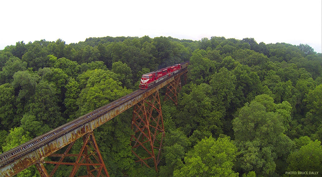 Tulip Trestle