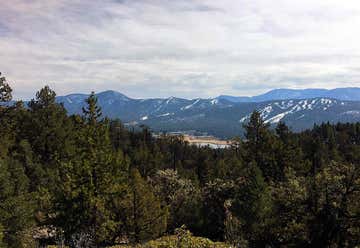 Photo of Cougar Crest Trail