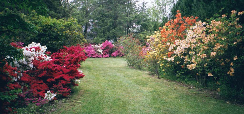 Photo of Kinney Azalea Gardens