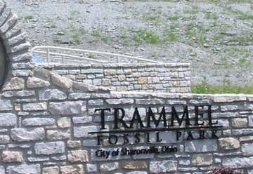 Photo of Trammel Fossil Park