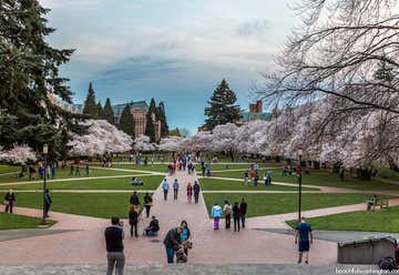Photo of University of Washington Quad