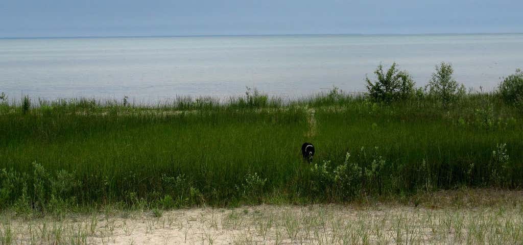 Photo of Ossineke Forest Campground