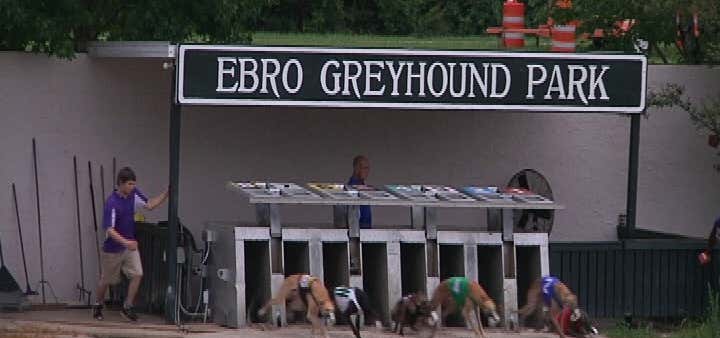 Photo of Ebro Greyhound Park