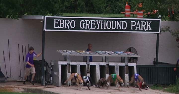 Ebro Greyhound Park, Ebro Roadtrippers