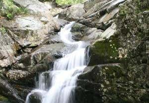 Photo of Cascade Stream Gorge Trail