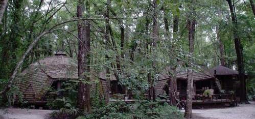 Photo of The Hostel in the Forest