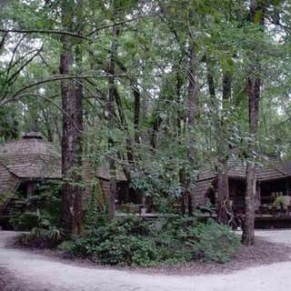 The Hostel in the Forest