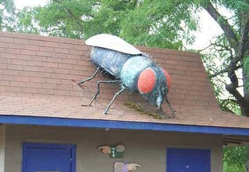 Photo of Giant Fly At OBrien Country Store