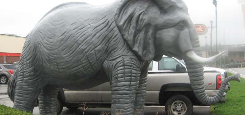 Photo of Huge Elephant Statue