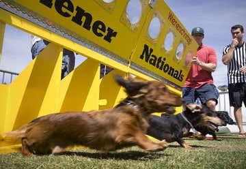 Photo of Wienerschnitzel Wiener Nationals