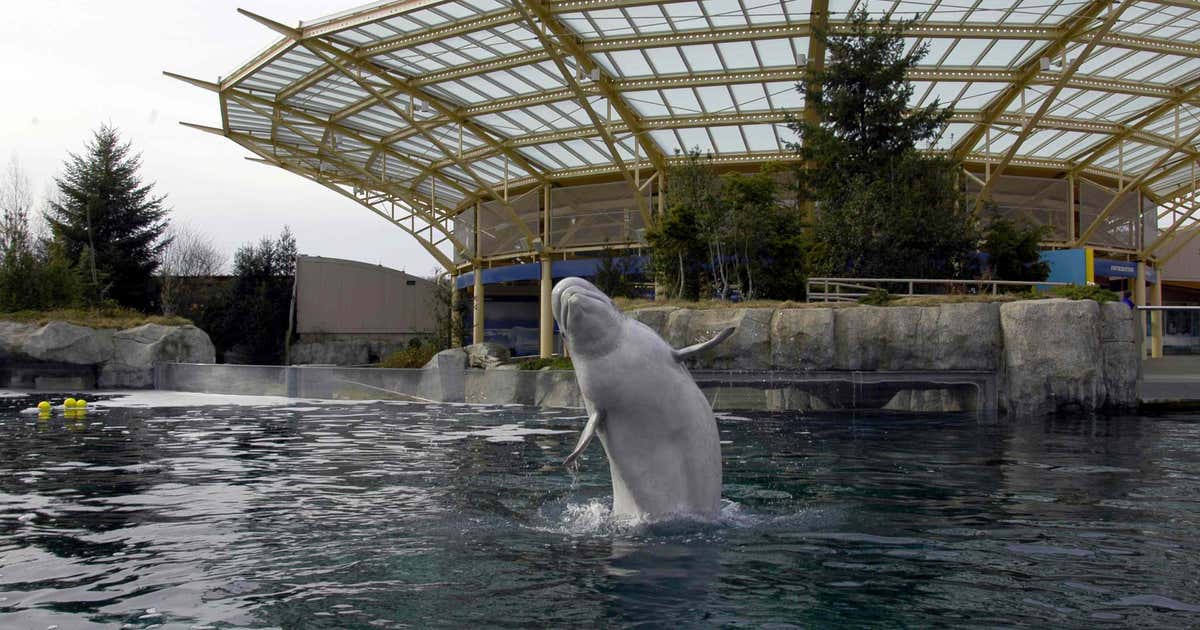 Mystic Aquarium, Mystic | Roadtrippers