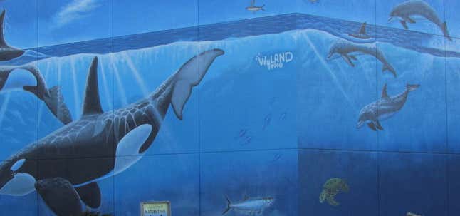 Photo of Whaling Wall