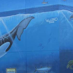 Whaling Wall