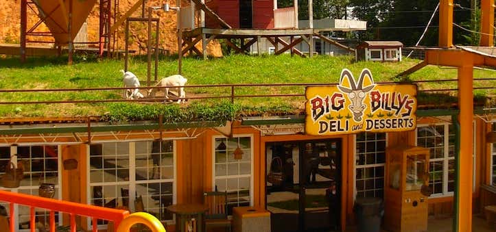 Photo of Big Billys Deli & Desserts (Goats On The Roof)
