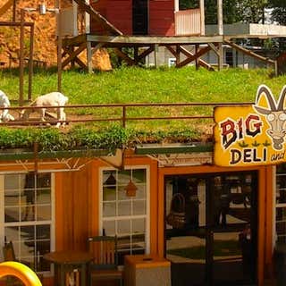 Big Billys Deli & Desserts (Goats On The Roof)