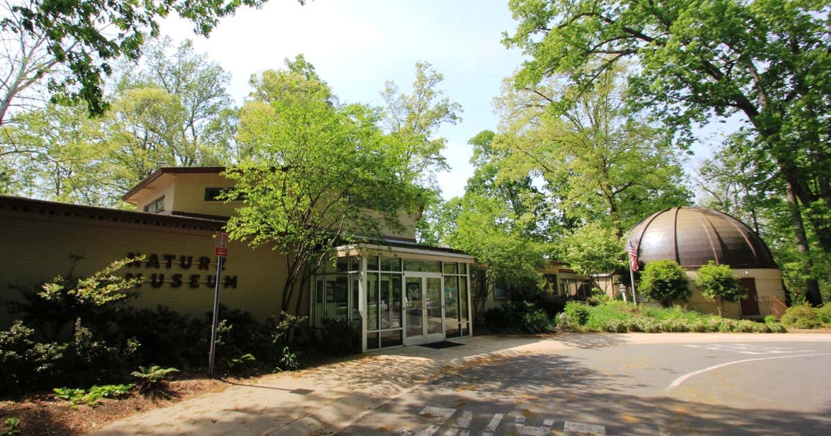 Charlotte Nature Museum, Charlotte Roadtrippers