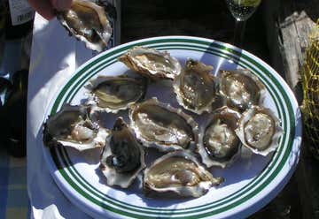 Photo of Tomales Bay Oyster Company