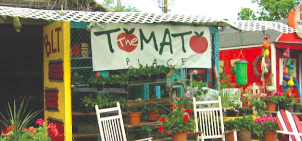 Photo of The Tomato Place
