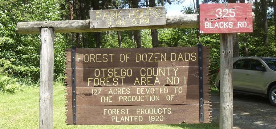 Photo of Forest of a Dozen Dads