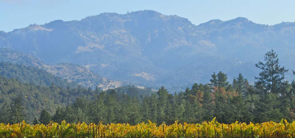 Photo of Storybook Mountain Vineyards