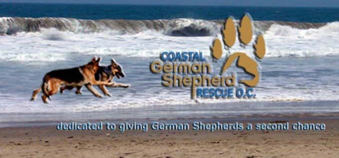Photo of Coastal German Shepherd Rescue OC