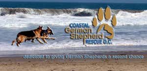 Coastal German Shepherd Rescue OC