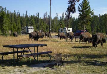 Photo of Bridge Bay Campground