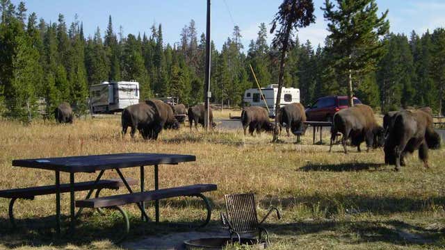 Bridge Bay Campground Yellowstone Map Bridge Bay Campground - Wy | Roadtrippers